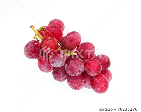 ぶどう　ブドウ　葡萄　安芸クイーン 70235276