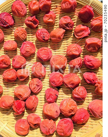 梅干し造り　自家製 70235490