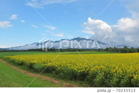 大雪の森ガーデンからの旭岳 70235513
