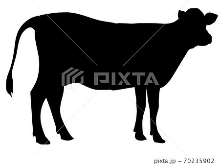 牛のシルエット　動物　牛　丑年　4　雄の牛 70235902