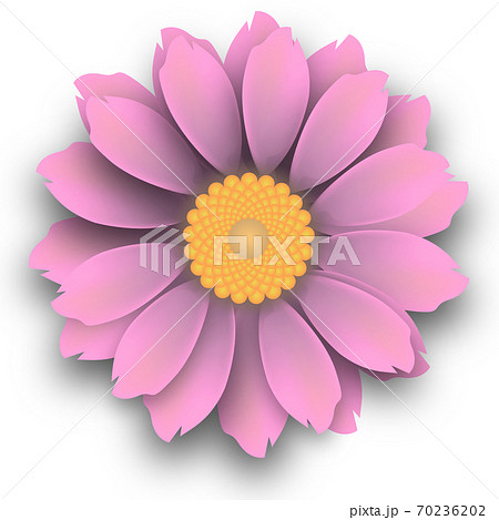 花のイラストのイラスト素材