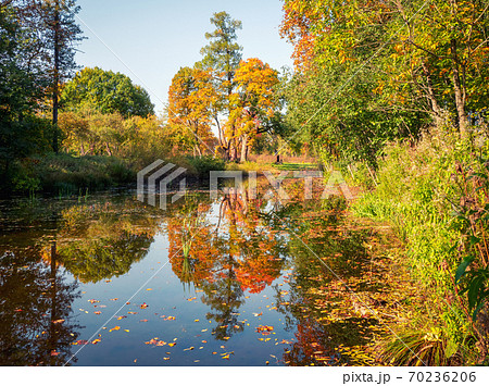 Beautiful autumn view Beautiful autumn view 70236206