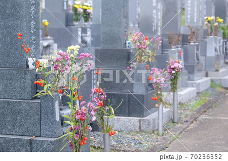 お墓の仏花 70236352