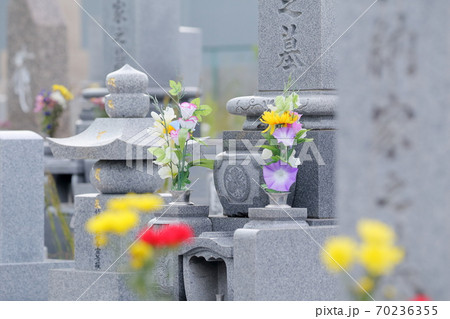 お墓の仏花 お墓の仏花 70236355
