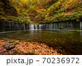 Shiraito fall in colorful autumn season, Karuizawa, Japan. 70236972