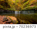 Shiraito fall in colorful autumn season, Karuizawa, Japan. 70236973