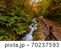 Walking trail to Shiraito fall during autumn season, Karuizawa, Japan.	 70237593