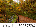 Walking trail to Shiraito fall during autumn season, Karuizawa, Japan.	 70237598