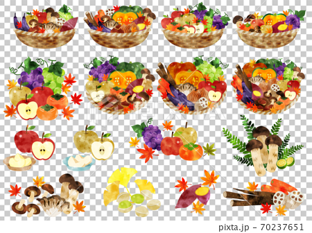 水彩 秋の野菜と果物　カゴ盛り 70237651