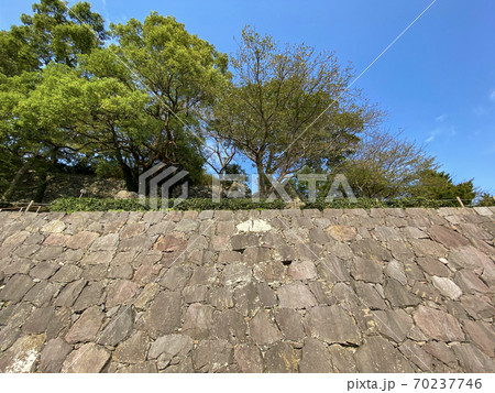 日出城址 70237746