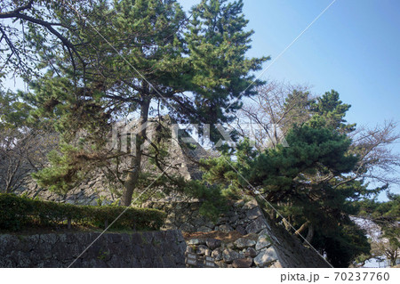 日出城址 70237760