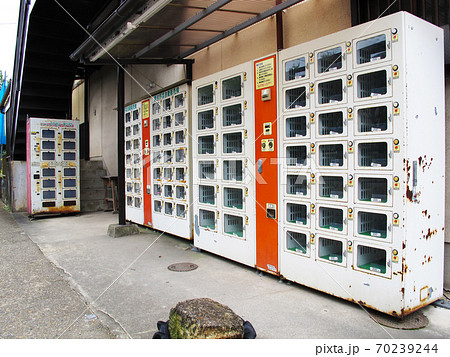 農家直売 採れたて新鮮野菜の自動販売機 農家直売 採れたて新鮮野菜の自動販売機 70239244