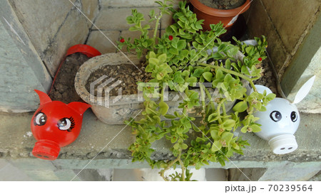 Colorful funny handmade plastic flowerpot at the green nature 70239564