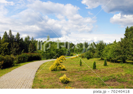 Beautiful park with green thuja, nature photo. 70240418