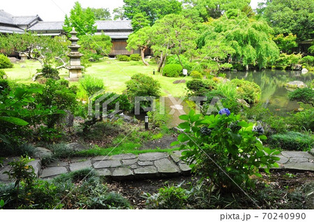 静岡県三島市　佐野美術館の回遊式庭園 70240990