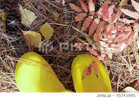 cropped view of girl's legs in yellow rain boots. cropped view of girl's legs in yellow rain boots. 70241005