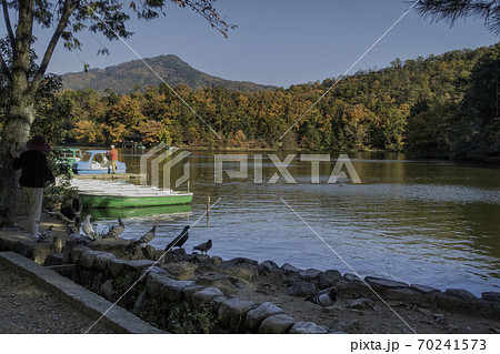 京都 宝ヶ池のボート乗り場から見える比叡山と風景を眺める女性の後ろ姿 の写真素材 70241573 Pixta