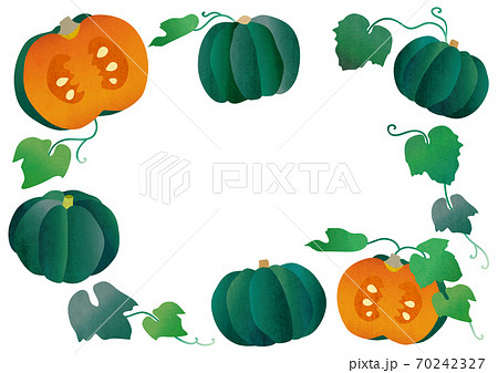 かぼちゃの手描き素材イラストのイラスト素材