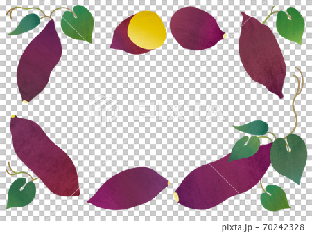 さつまいもの手描き素材イラストのイラスト素材