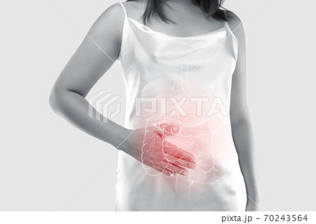 illustration of the large intestine and internal organs in the women's 70243564
