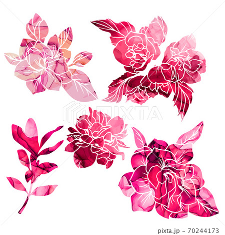 Red and pink textured magnolia and jasmine flowers Red and pink textured magnolia and jasmine flowers 70244173