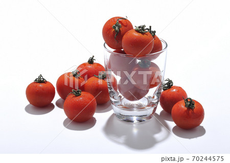 ミニトマト ミニトマト 70244575