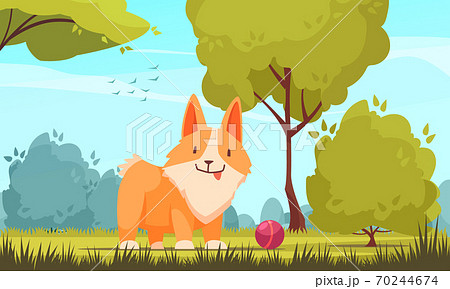 Pet Playing Outdoors Composition Pet Playing Outdoors Composition 70244674