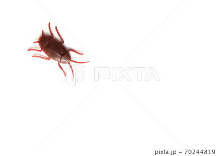 白背景にゴキブリのおもちゃ 70244819