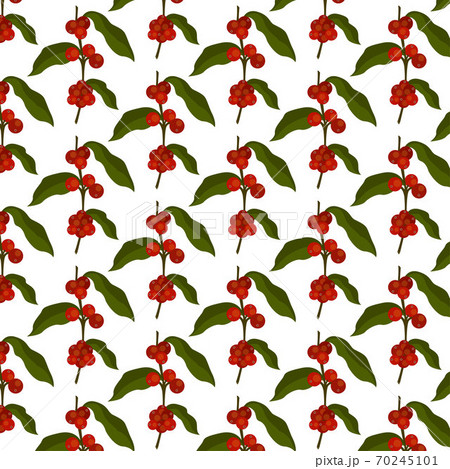 coffee tree seamless pattern, vector color illustration coffee tree seamless pattern, vector color illustration 70245101