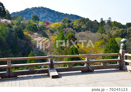 春 清水寺 子安塔 春 清水寺 子安塔 70245123