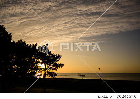 浦安市総合公園 70245546