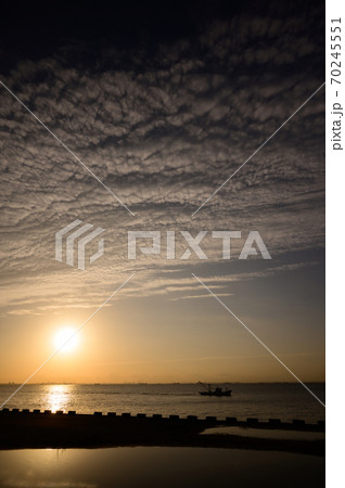 浦安市総合公園 浦安市総合公園 70245551