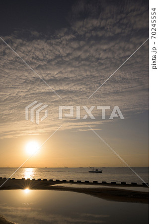 浦安市総合公園 浦安市総合公園 70245554