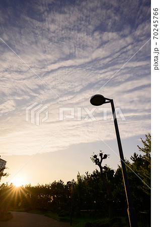 浦安市総合公園 浦安市総合公園 70245766