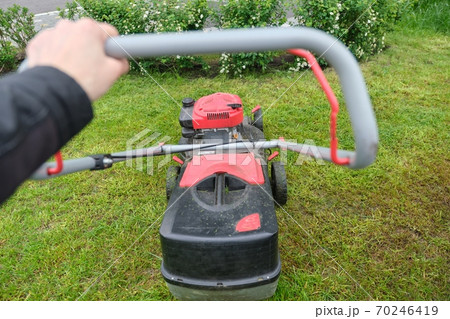 Working lawn mower on green lawn with trimmed grass Working lawn mower on green lawn with trimmed grass 70246419