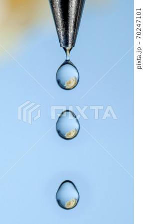 White rose seen through drops of water 70247101