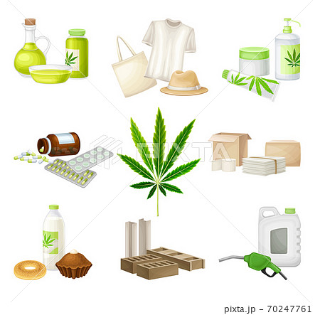 Products With Hemp And Cannabis Sativa のイラスト素材