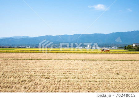 青空の田園風景、収穫の秋 青空の田園風景、収穫の秋 70248015