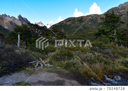 フィッツロイ 70248728