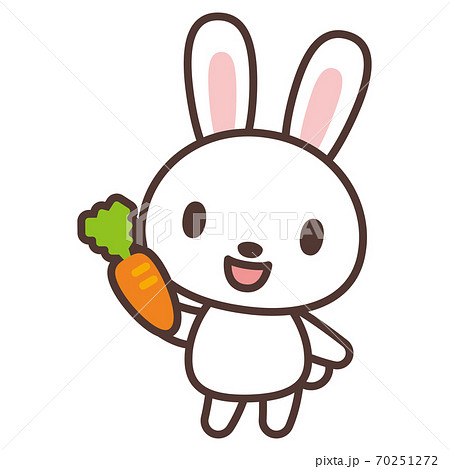 Rabbit Character With Carrot Stock Illustration