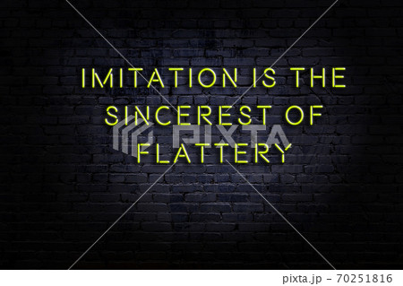 Wise quote. Neon inscription against brick wall 70251816