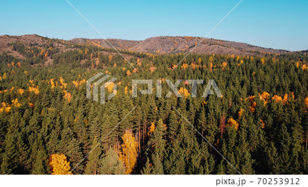 Autumn Colors. image of trees in the forest 70253912