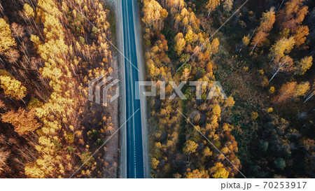 Beautiful road in the autumn forest 70253917