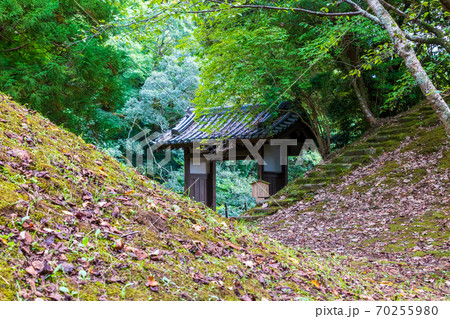 佐倉城の薬医門 70255980