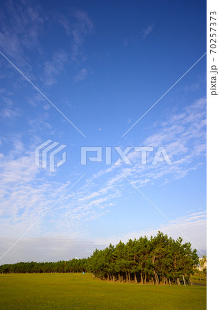 浦安市総合公園 70257373