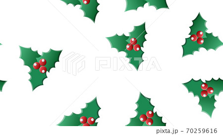 Vector green, red holly berry and mistletoe 70259616
