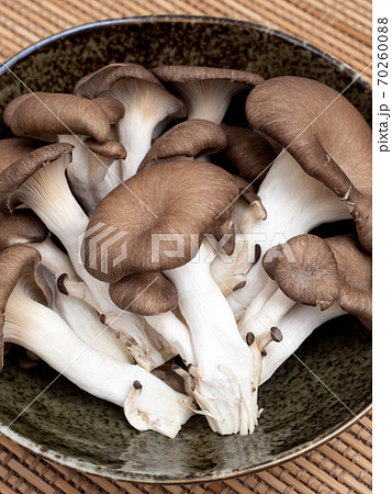 ヒラタケ 70260088