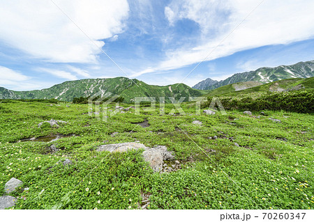 夏の立山 天狗平より剱岳方面を望む 夏の立山 天狗平より剱岳方面を望む 70260347