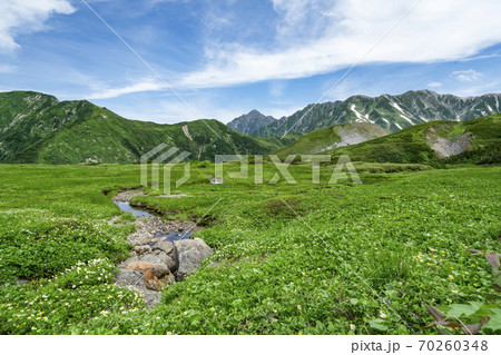 夏の立山　天狗平より剱岳方面を望む 70260348