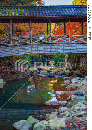 三原佛通寺巨蟒橋、飛猿橋と紅葉 70261279